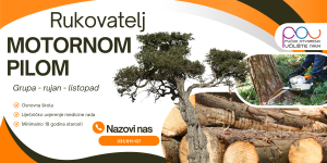 Rukovatelj motornim pilama u &scaron;umarstvu